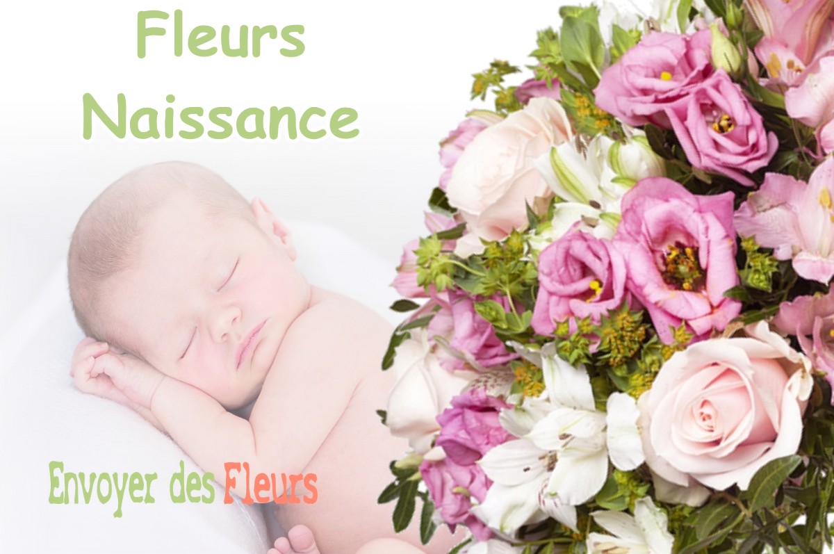 lIVRAISON FLEURS NAISSANCE à SAINT-PIERRE-DE-MESAGE